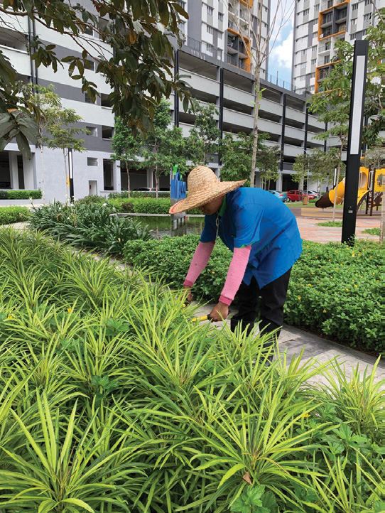Landscape worker on site